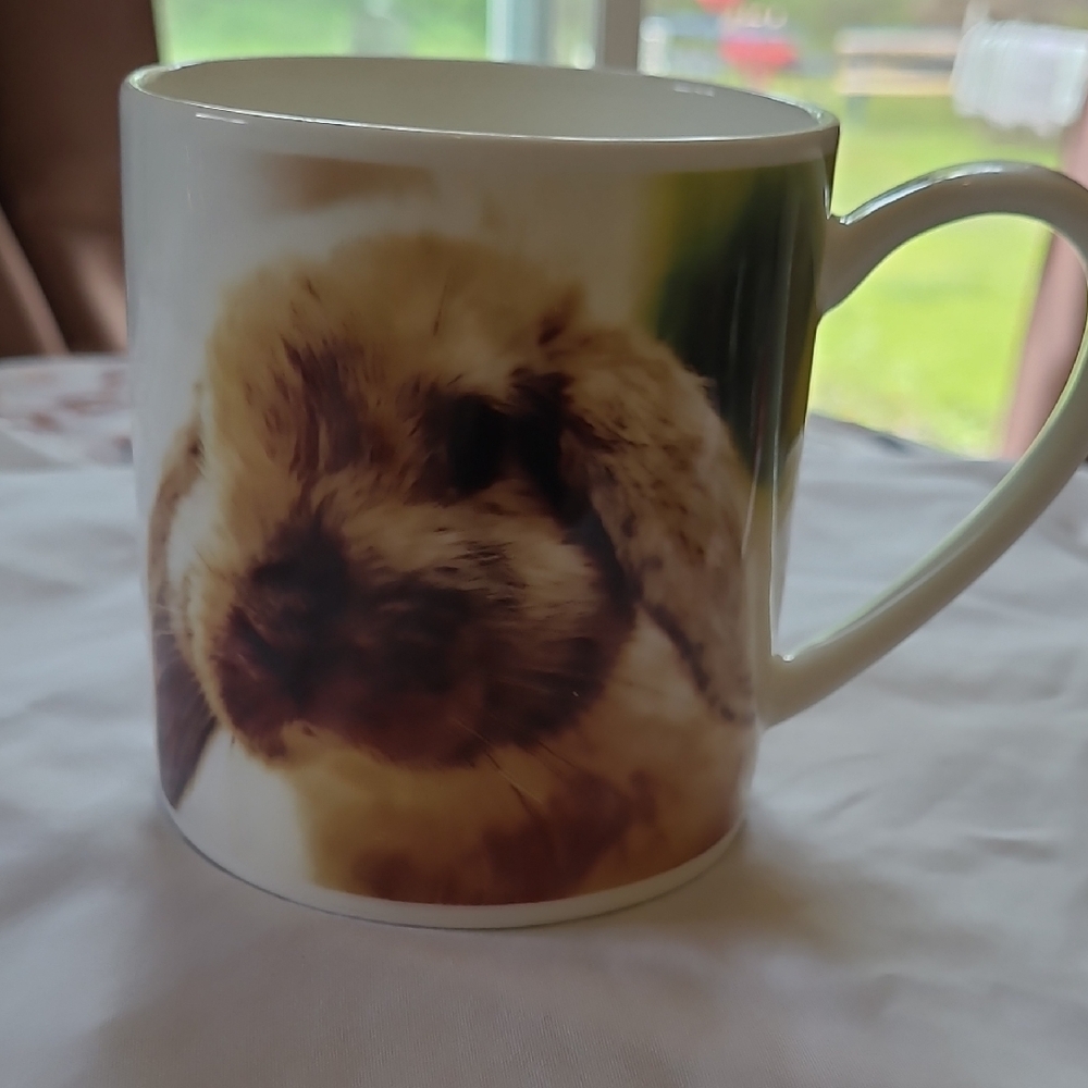 Rose Of England Cute Lop Rabbit Mug